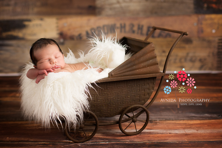 Xavier in the cart for his Tewksbury Newborn Photography New Jersey