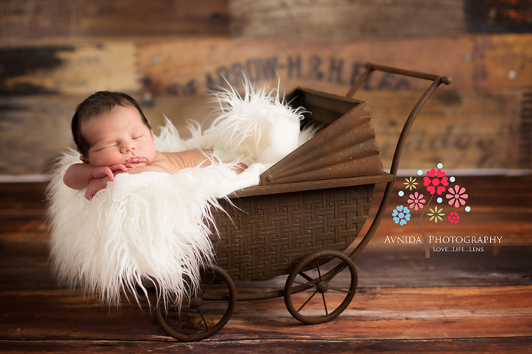 newborn photography dallas, xavier in the cart