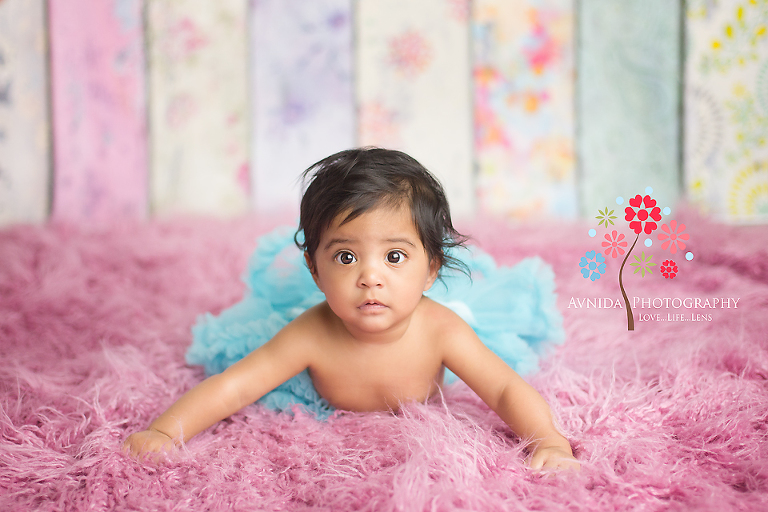 6 Month Baby Photography Mendham New Jersey 
