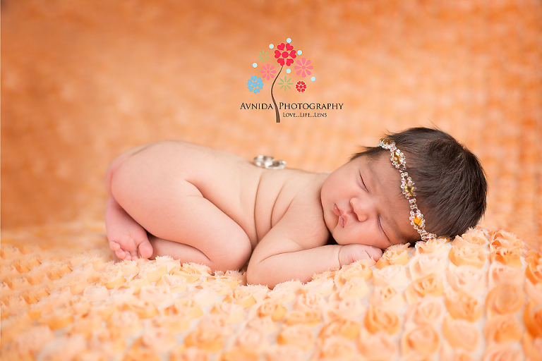 newborn photography dallas tx - pretty in orange