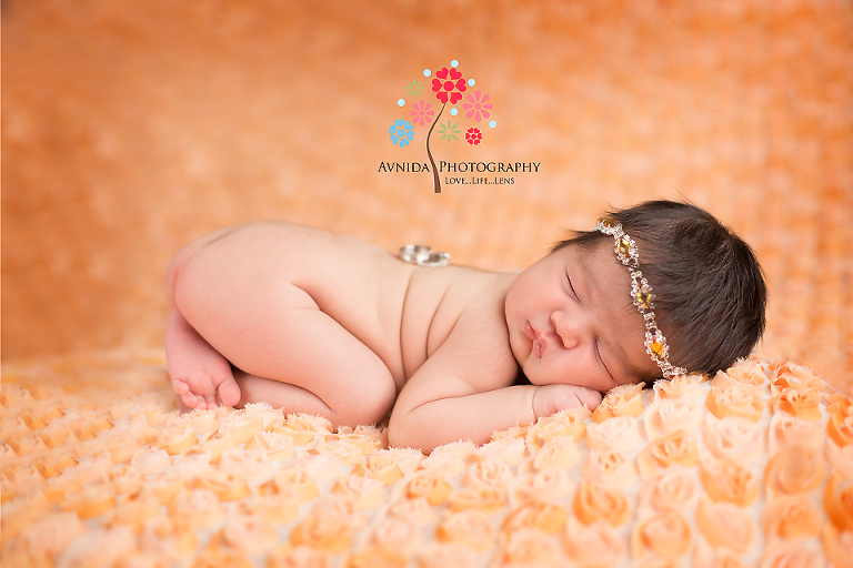 newborn photographers dallas tx - pretty in orange