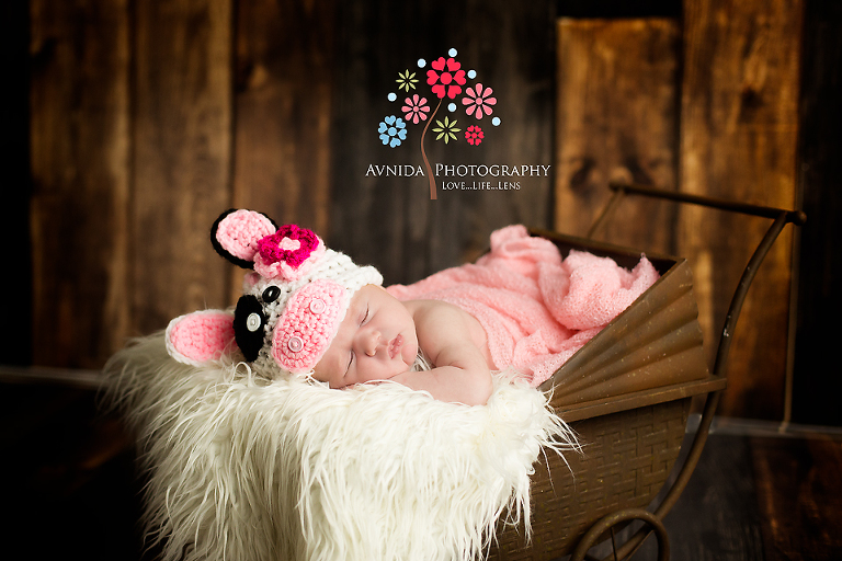 Dressed in a cute bunny hat, the little princess sleeps - Newborn Photographer NJ