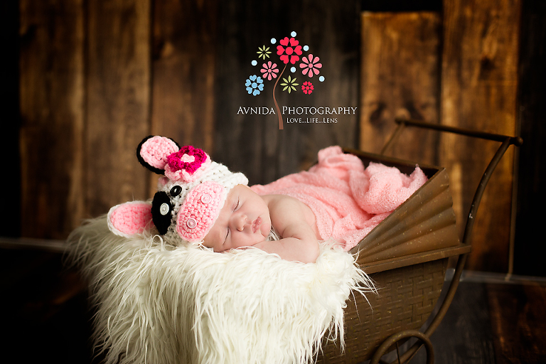 newborn baby photography pictures new jersey of Reagan