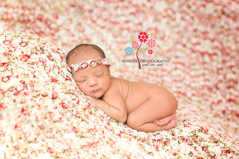 Zoe in rose blanket in picture from Newborn Photography Ocean County NJ by www.avnidaphotography.com