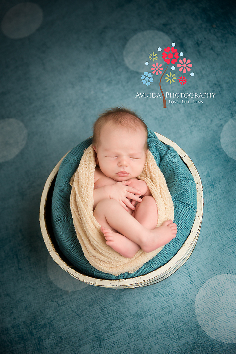 newborn photography basking ridge nj in the basket