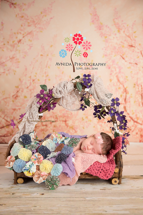 Branchburg Newborn Photography Hillsborough NJ-princess sleeps