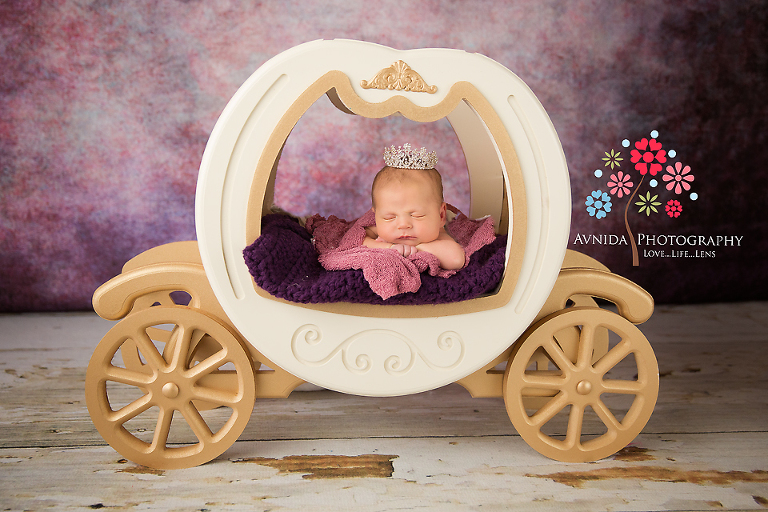 Bridgewater NJ Newborn Photographer: Baby Samantha, going to the ball in her chariot