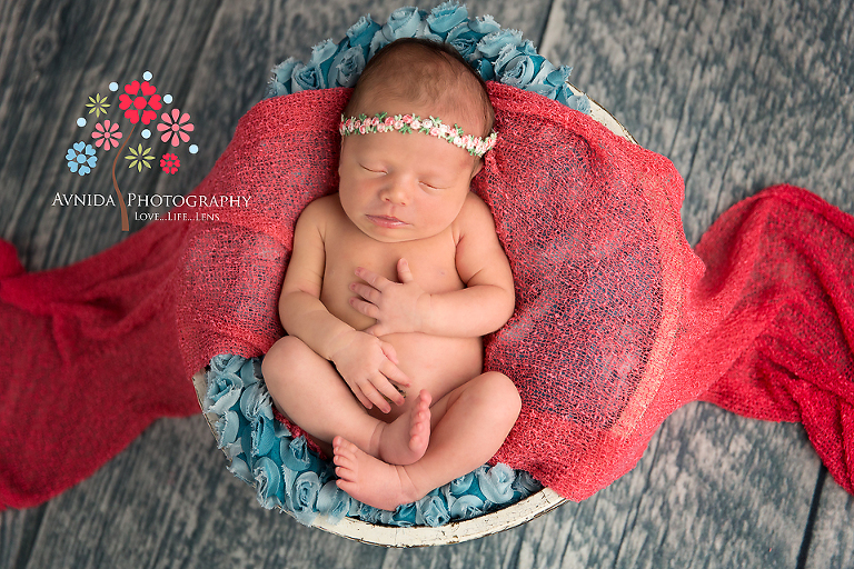 Newborn Photography Millburn NJ; sleeping in the bowl