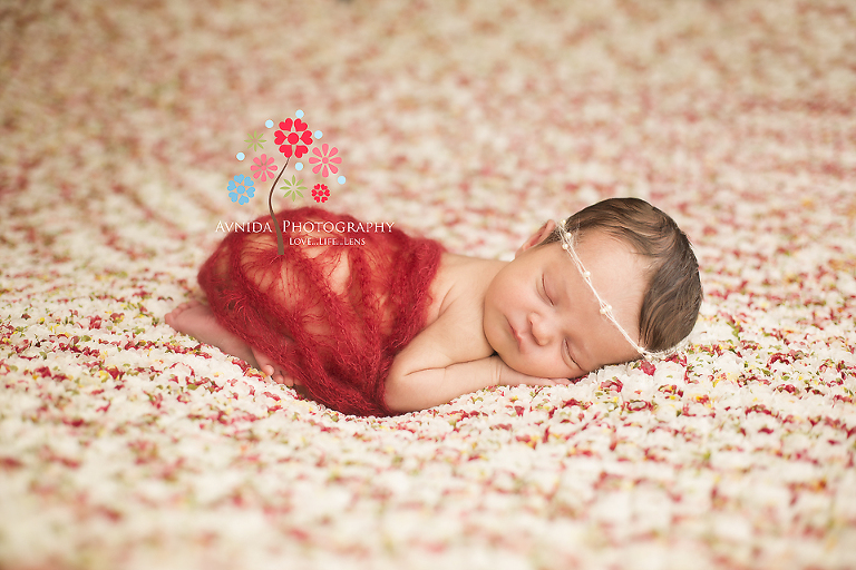 Newborn Photography New Providence NJ - lying on bed of roses