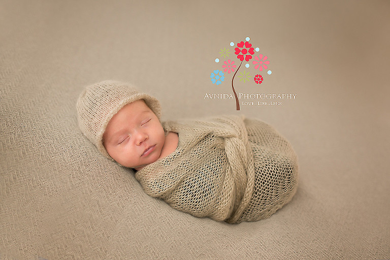 Newborn Photography Long Hill NJ Best in Brown