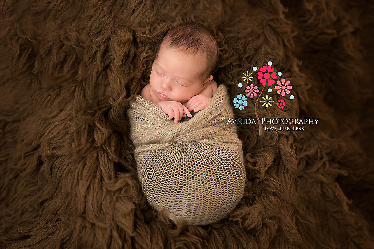 Newborn Photography Long Hill NJ In a cocoon
