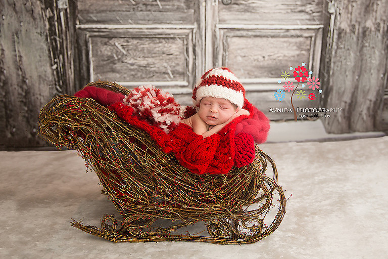 Baby Nora riding the sleigh-Belleville NJ newborn photographer