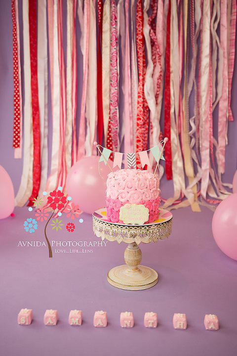 The cake!- Metuchen NJ cake smash photographer