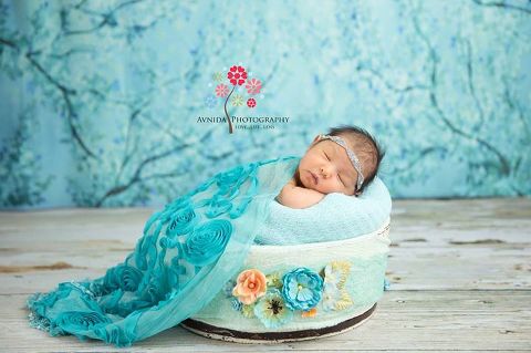New Jersey Newborn Photographer-Blue Flowers