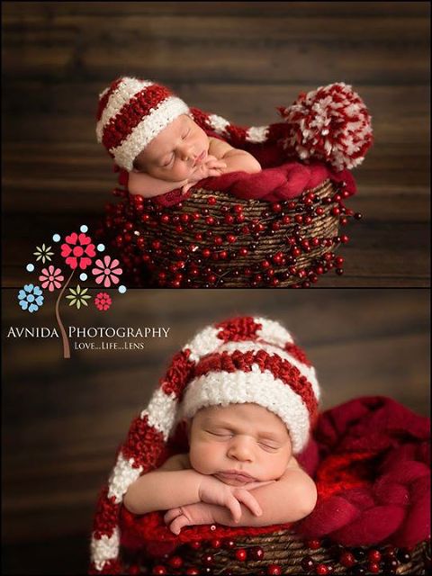 New Jersey Newborn Photographer-Flowers in Red