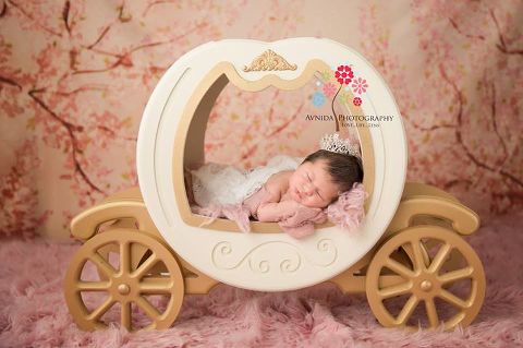 New Jersey Newborn Photographer-Princess Carriage