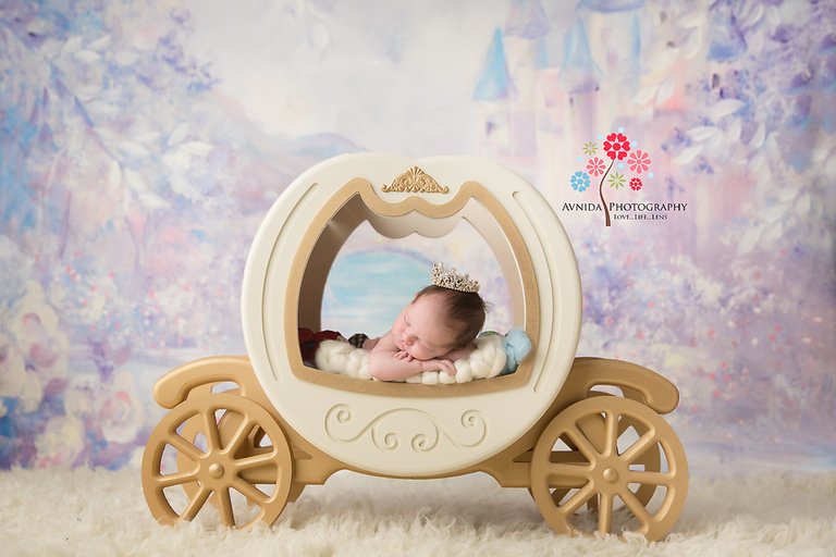 Newborn Photos Basking Ridge NJ - Spring is in the air and the princess is out for her rides