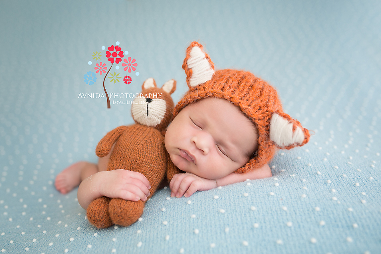 newborn baby photography session - a fox and his friend come to our studio