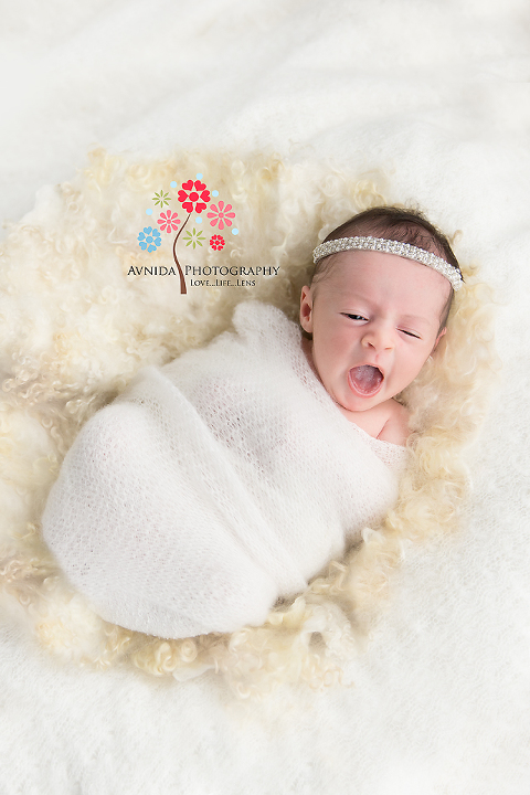 Newborn Baby Portraits