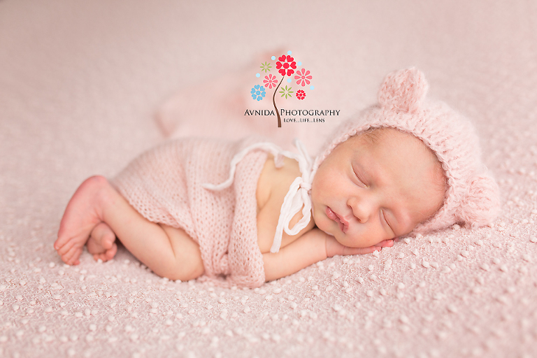 River Vale NJ newborn photographer - Where did this little cute kitty cat come from