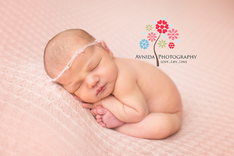 Newborn Photographer Wyckoff NJ - Charlotte spins her web in this wonderful pose and mesmeries us all