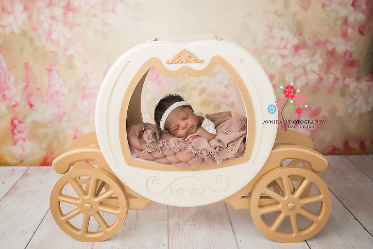 Newborn Photographer Vernon NJ - The little princess decided to go for a stroll in her special princess carriage and we couldn't have been happier - the right ride for the princess