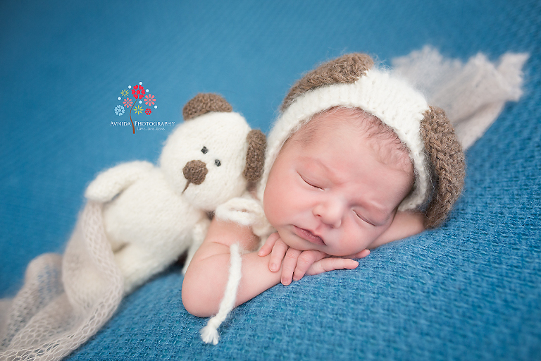 Newborn Photography Englewood Cliffs NJ - You might be sleeping when your cute soft friends who miss you come by to snuggle together