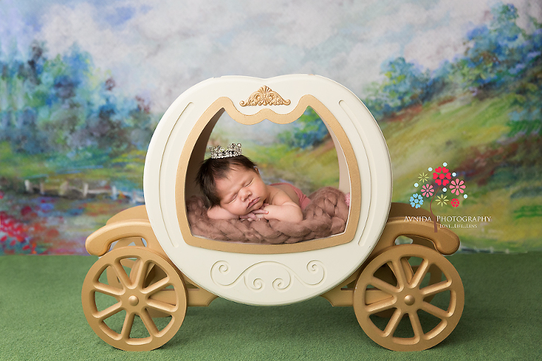 Newborn Photography Paterson NJ - Believe it or not this is how we started - The little princess goes out for a ride in her princess carriage - the grass is green, the spring flowers are blooming and the sky is clear today - perfect day to be outside