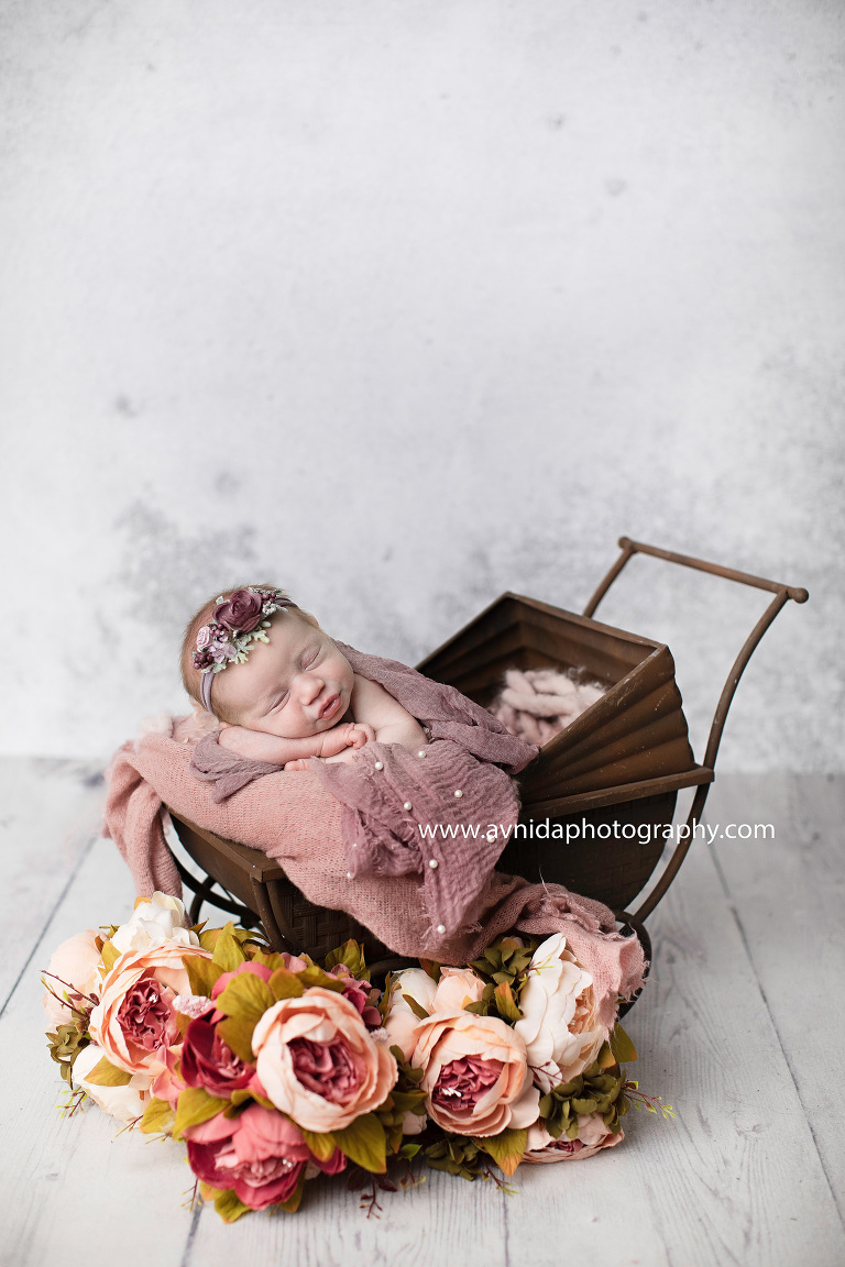 Taking a little break from her Newborn Photographer Randolph NJ session. Baby Mackenzie is ready for a stroll in the land of flowers.