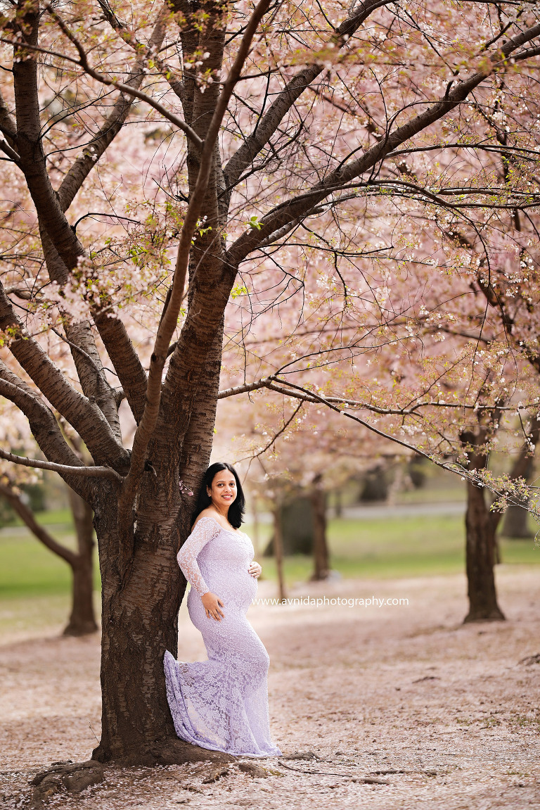 Maternity Photography Gowns - Cherry Blossoms and a purple lace gown - NJ's finest maternity photographer
