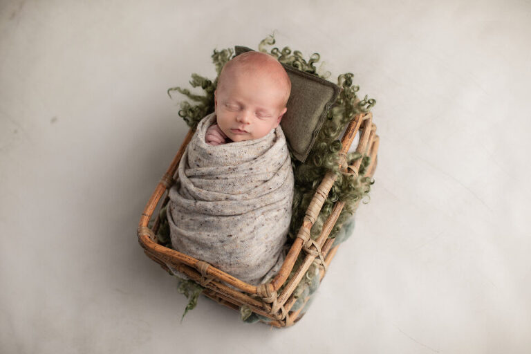 Newborn Photography South Jersey NJ - the gift of forever joy delivered by the stork in a basket
